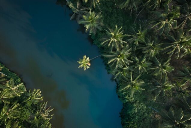 Why Kerala’s Backwaters Are a Must-Visit for Nature Lovers