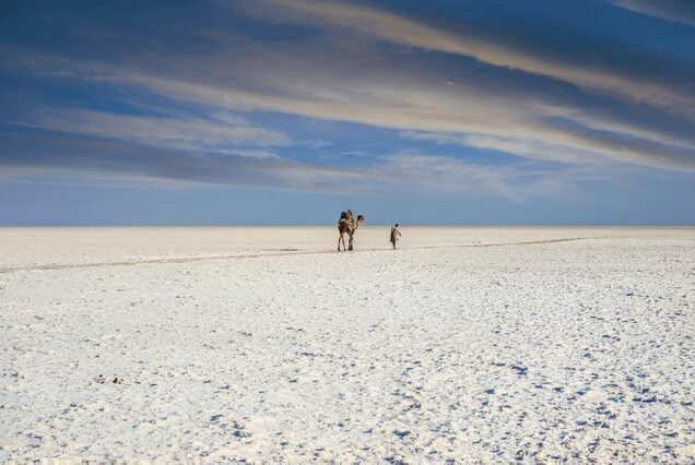 Why You Should Visit the White Desert of Kutch at Least Once