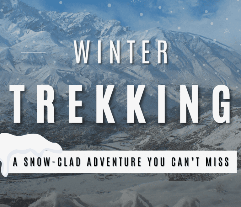 Winter Trekking in Ladakh banner