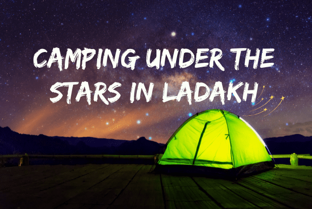 Camping Under the Stars in Ladakh