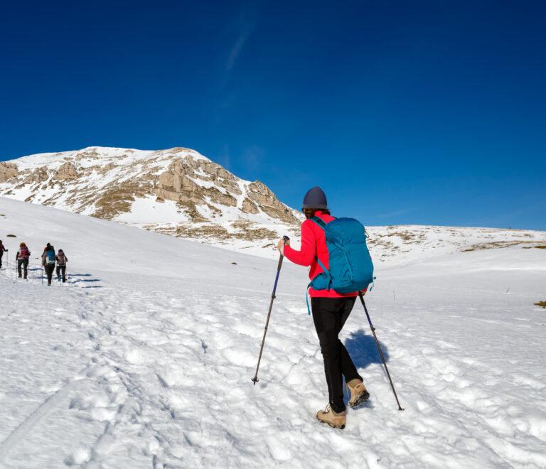 Winter Trekking in Ladakh
