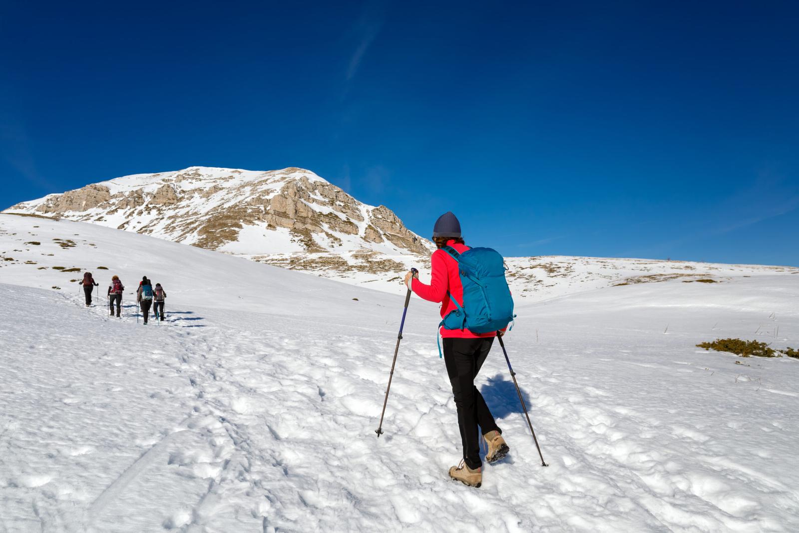 Winter Trekking in Ladakh