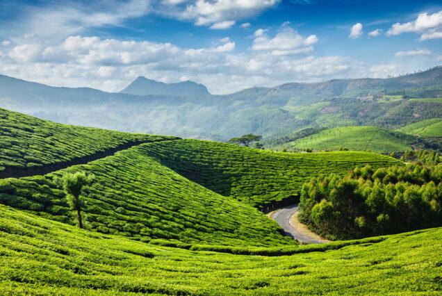 Ultimate Kerala Road Trip Itinerary 2025:Best Routes, Scenic Spots & Travel Tips