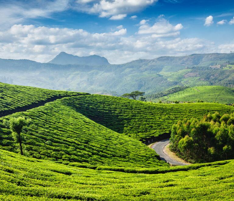 Kerala Road Trip Itinerary 2025