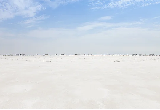 4 Nights / 5 Days of Culture, Craft & Desert Wonders in Kutch