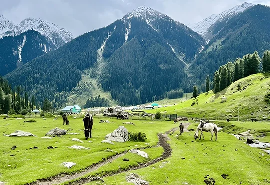 5 Days Kashmir Package